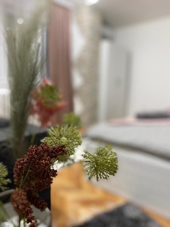 Apartman Bonaca Ni Eksteriør bilde