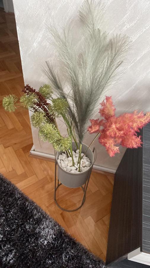 Apartman Bonaca Ni Eksteriør bilde